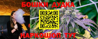 СК Будённовск
