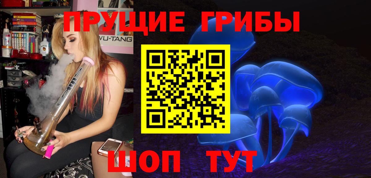 Галлюциногенные грибы Psilocybine cubensis  Вход с VPN  Новотроицк 